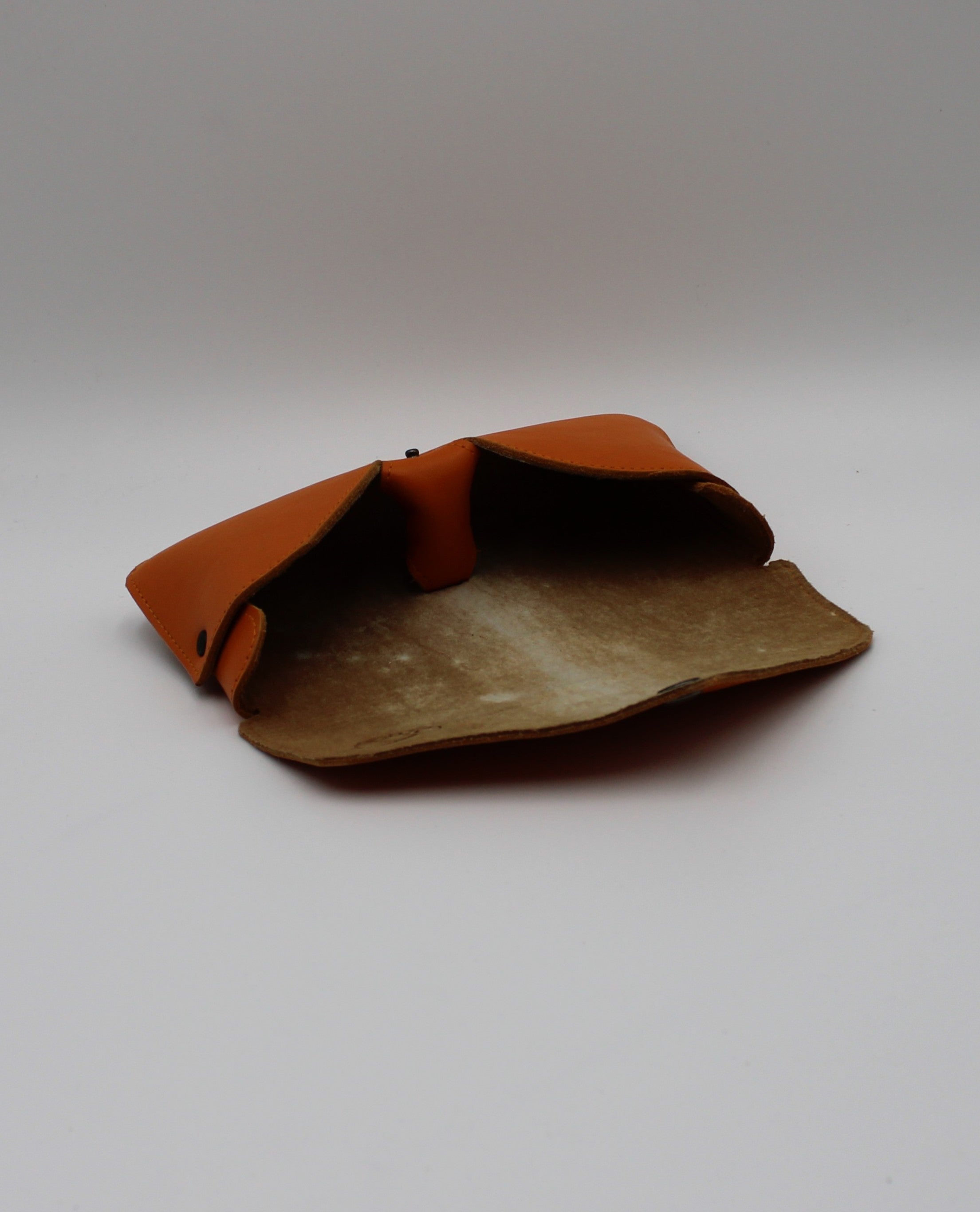 Helena Brillen-Etui (gross)
